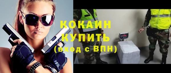 прущие грибы Арсеньев