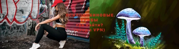прущие грибы Арсеньев