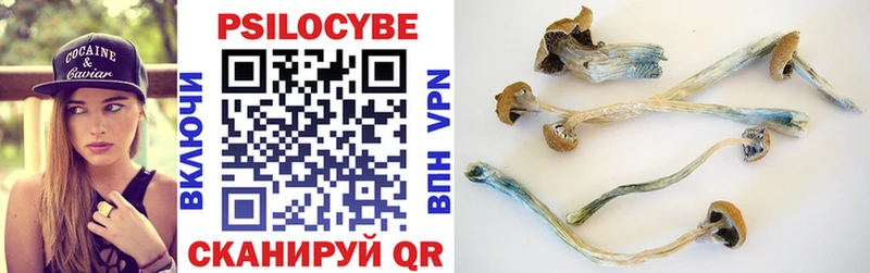 Галлюциногенные грибы MAGIC MUSHROOMS  цены наркотик  Белозерск 
